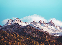 kaiyun-张稀哲：终结对上港连败因没放弃 下回合先忘比分